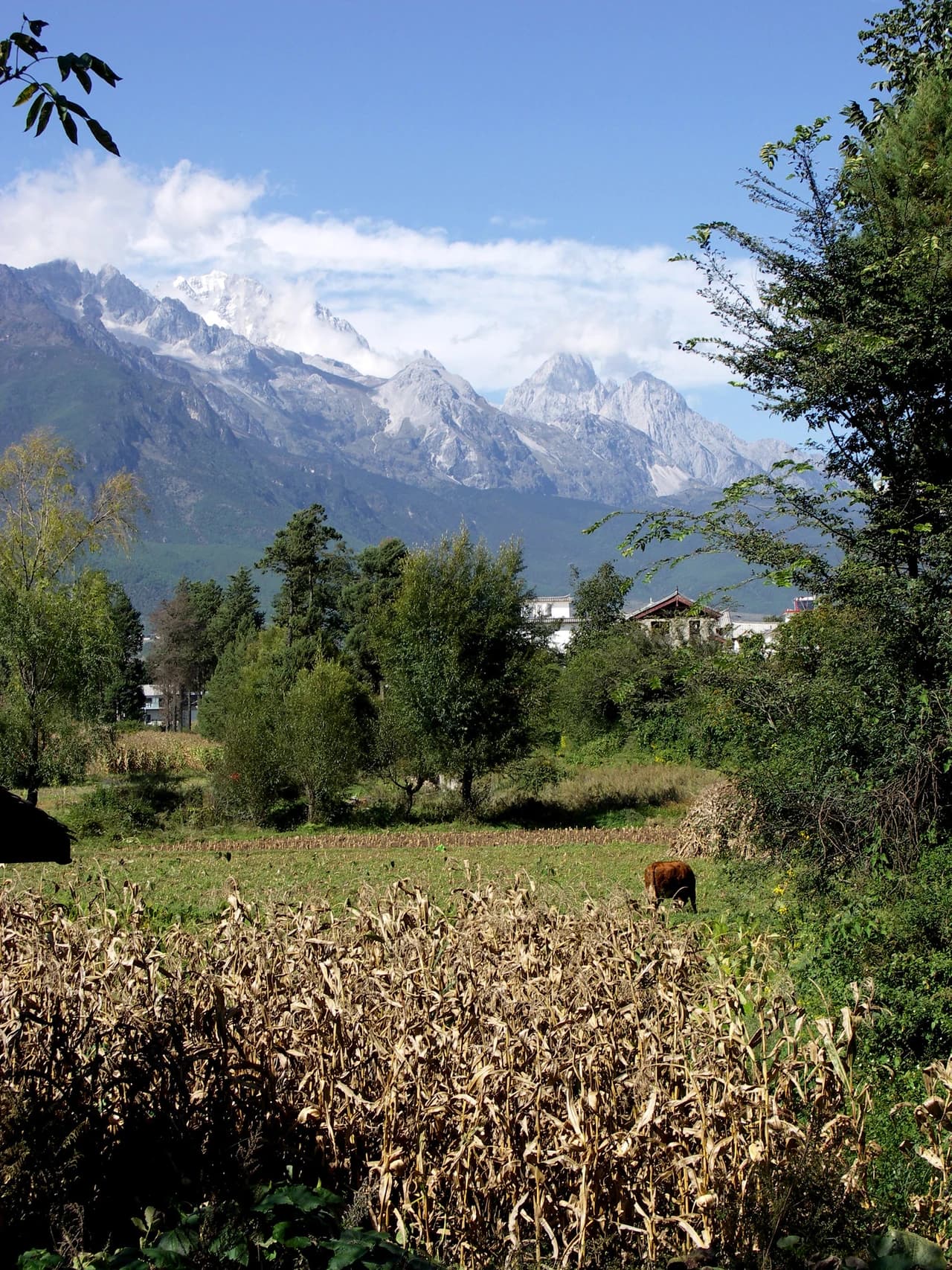 Baisha village · 白沙古镇