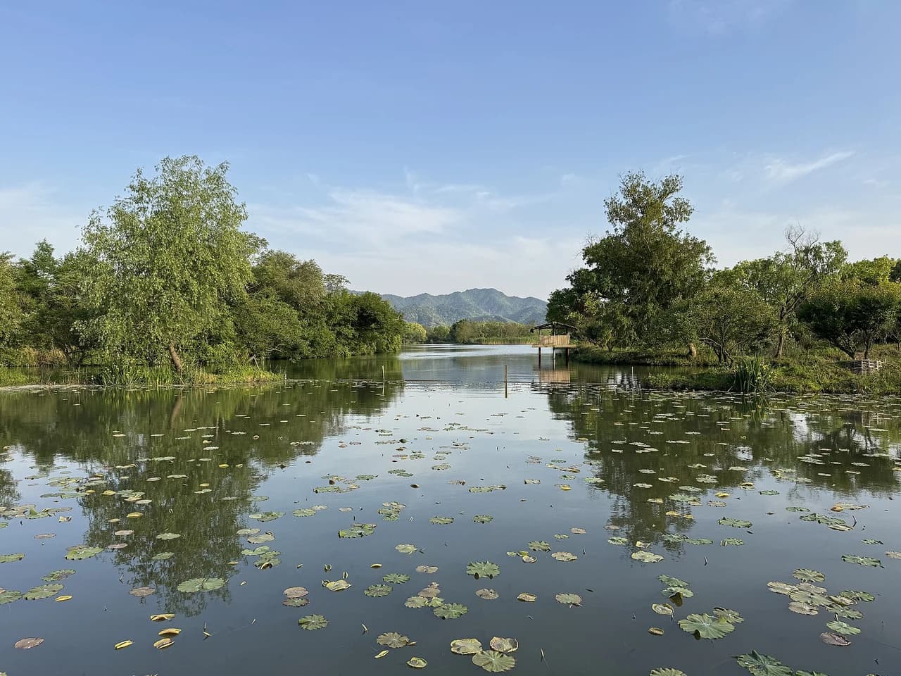 Xixi Wetland · 西溪湿地