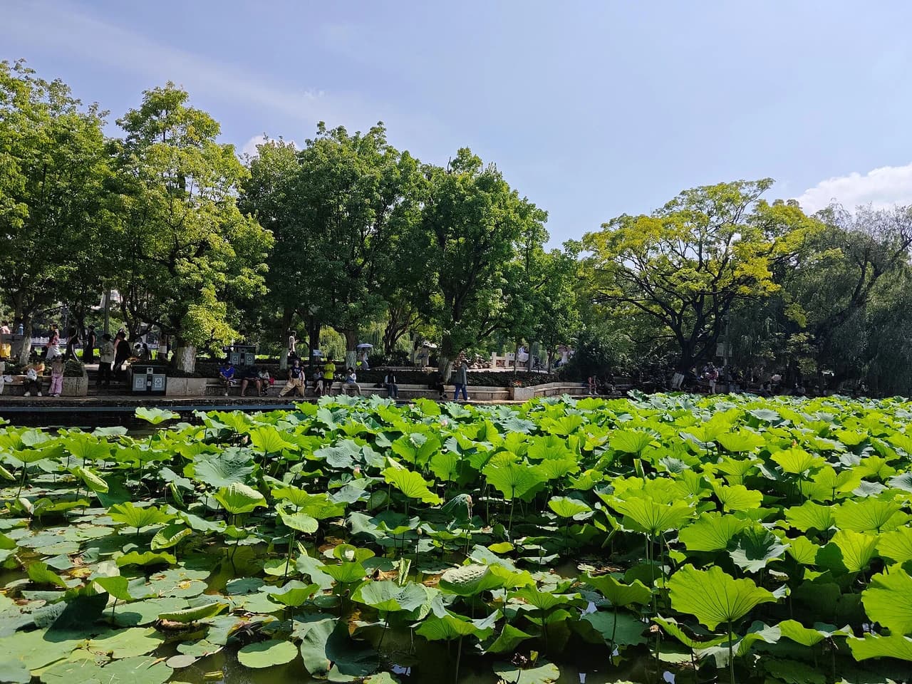Green Lake Park · 翠湖公园