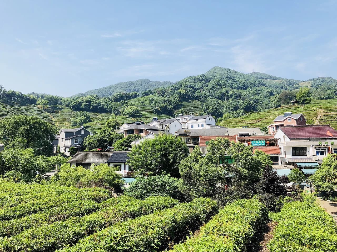 Longjing tea village · 龙井村