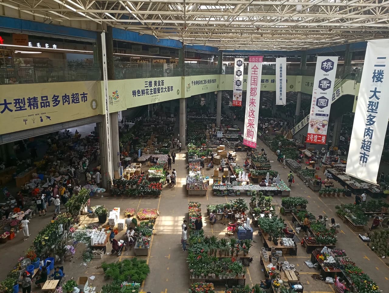 Dounan Flower Market · 斗南花市