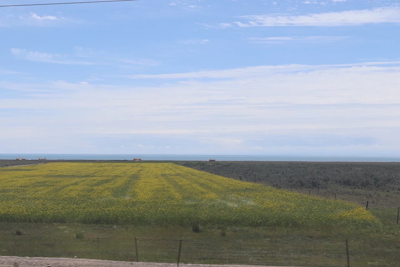 Qinghai Lake · 青海湖